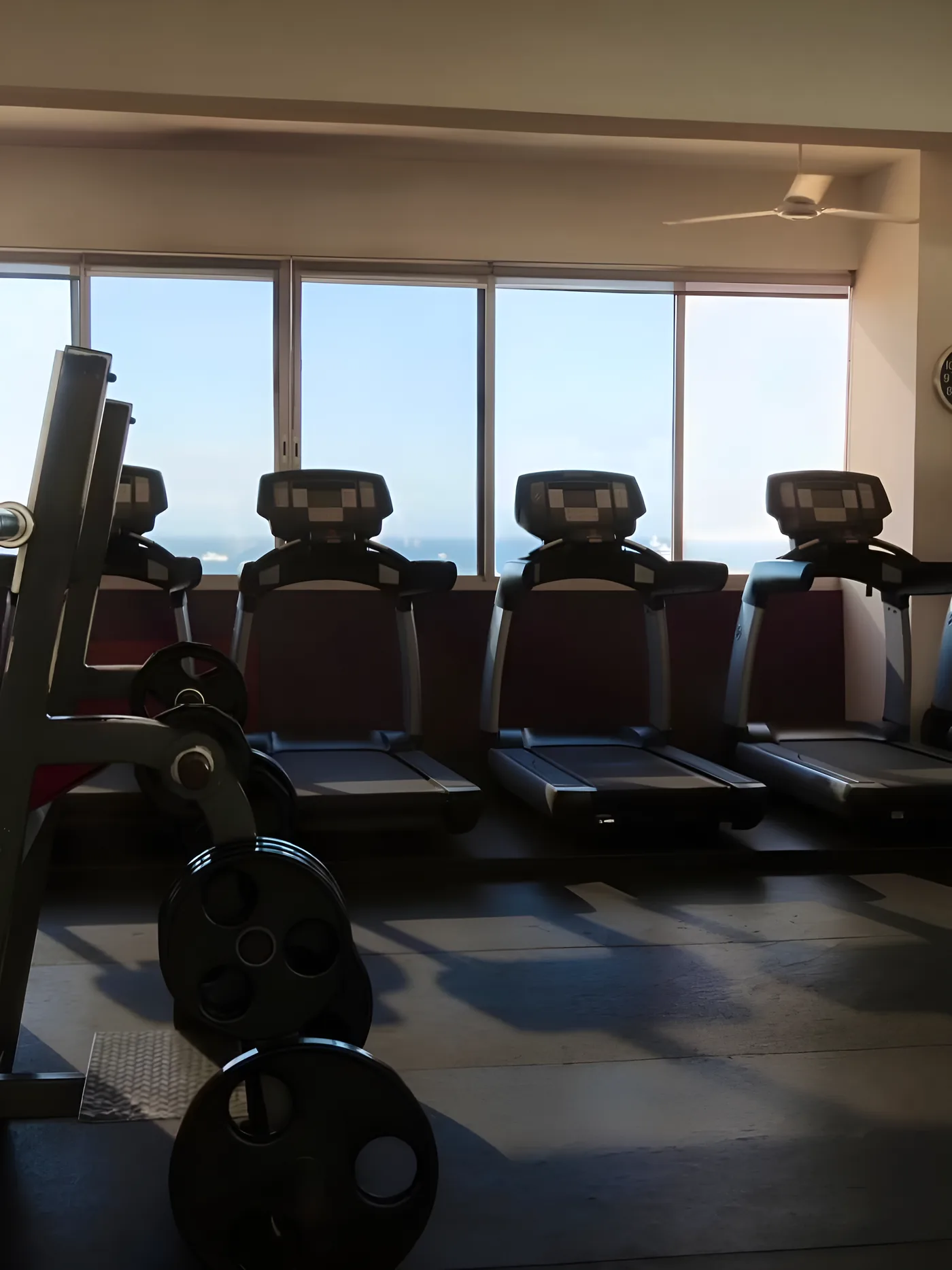 Treadmills facing the Sea of Cortez